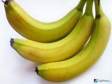 Бананы, польза и вред бананов, состав бананов, витамины в бананах, полезные свойства бананов, банановая диета