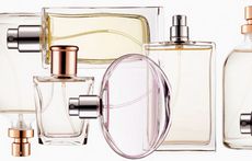 Как выбрать парфюм на все сезоны