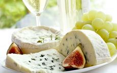Сыр с плесенью (плесневый сыр), польза сыра с плесенью, может ли быть сыр с плесенью вреден?
