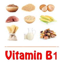 Витамин b6 (пиридоксин), в каких продуктах содержится, роль и значение витамина b6, потребность в витамине b6, недостаток и переизбыток витамина b6