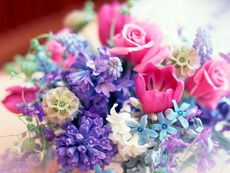 Выбираем свежие цветы: как не попасться на проделки флористов
